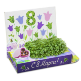 Happy Plant Живые открытки