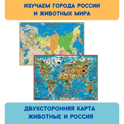 Двусторонняя карта. Животные и РФ детская - фото 19756