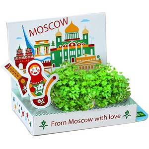*Подарочный набор Москва №1