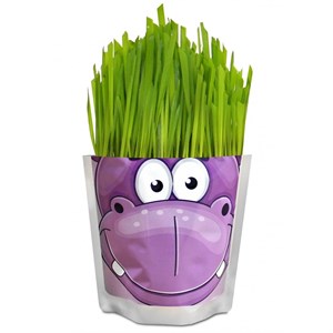 Happy Plant Бегемот