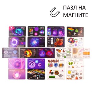 **Магнитный пазл  Масштабы микромира