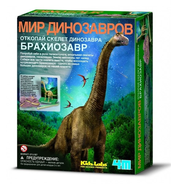 Скелет Брахиозавра