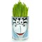 Happy Plant Зебра - фото 13672