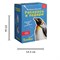 Набор для творчества Пингвин - фото 16185