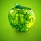 3D головоломка Яблоко зеленое - фото 6415