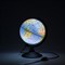 Глобус Зоогеографический (Детский) 210 мм с подсветкой - фото 9672